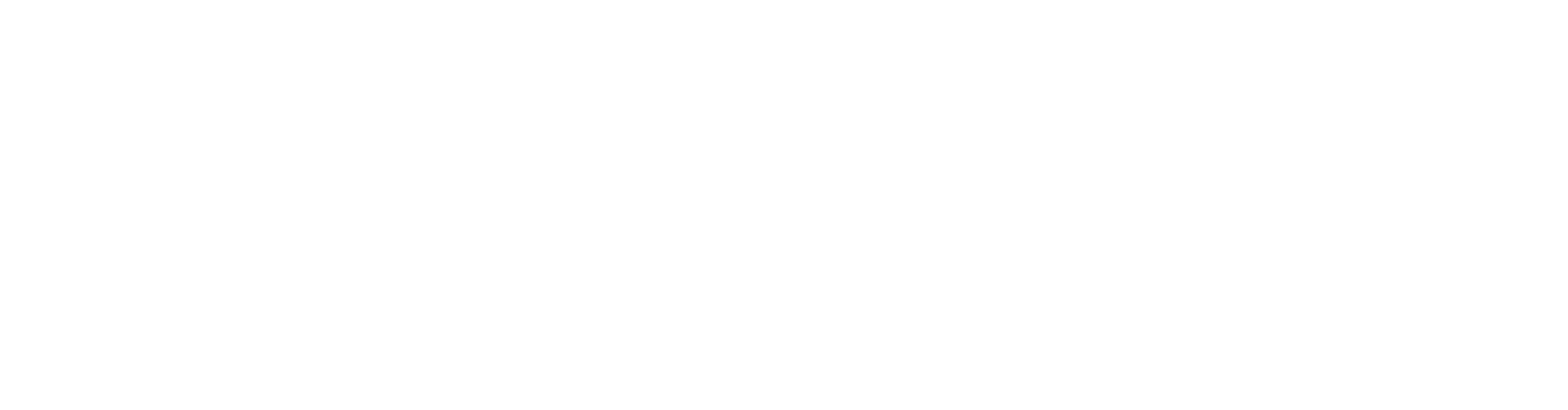 MIZTON Enterprise